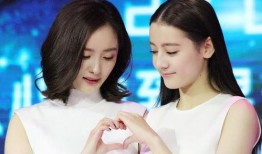 西安星伊美最新爆料,最新动态与幕后故事大曝光