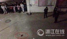 浙江温州爆料案件最新,真相背后，法律与道德的较量