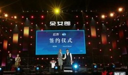 石家庄演唱会最新爆料,揭秘石家庄演唱会独家爆料，巨星阵容即将闪耀登场！